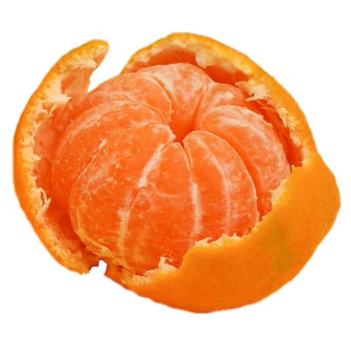 橘子🍊（青岛组局订台🧧