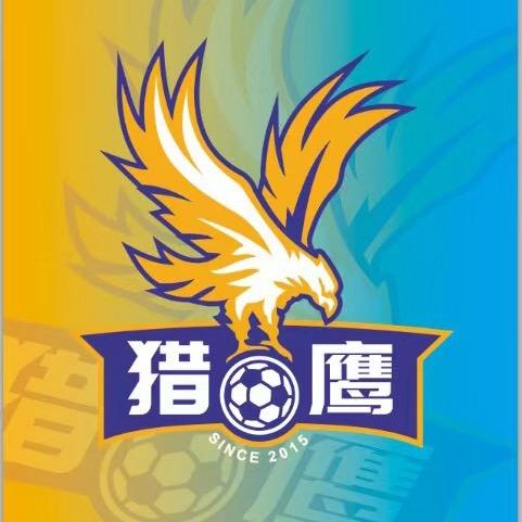 从此只爱泰山队