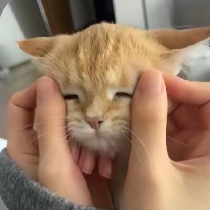 满山猴子我腚最红