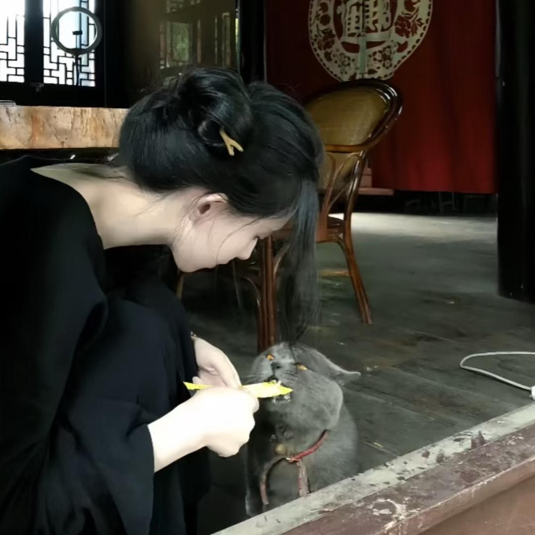 ｕ点小脾气ꪔ̤̮