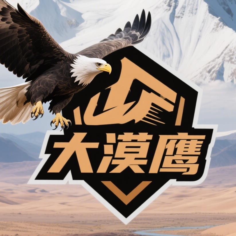 大漠鹰传媒