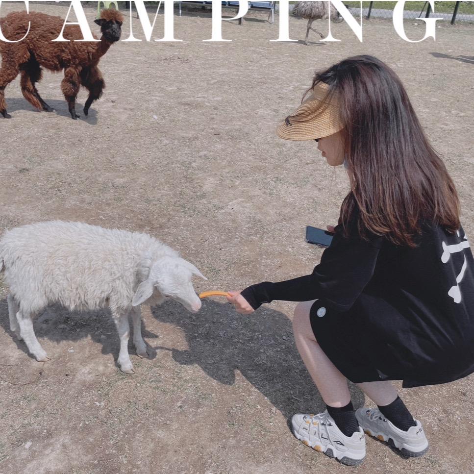 Laura劳拉阿姨