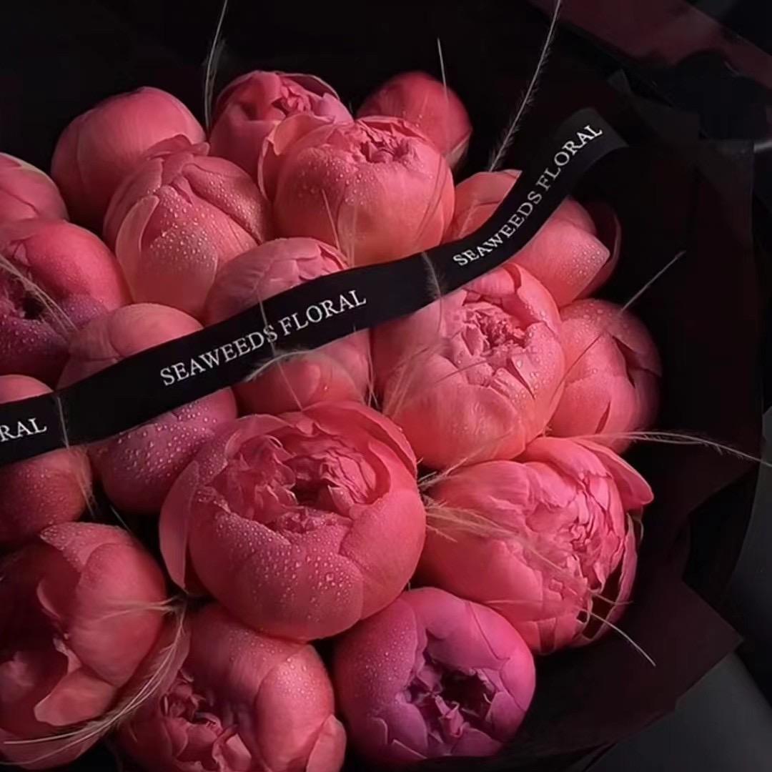 (•̀ω•́)✧开心