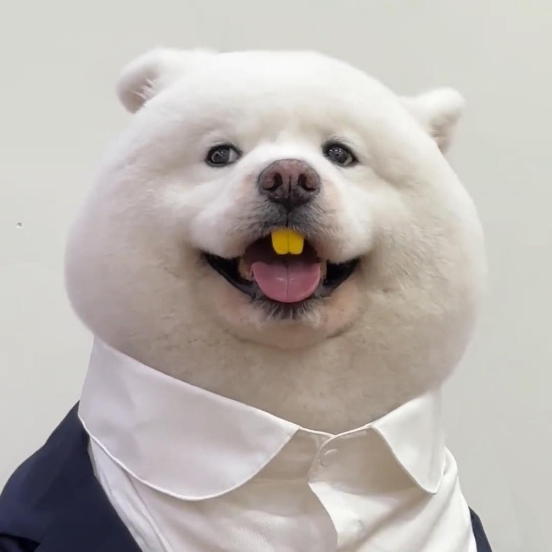 张无忌
