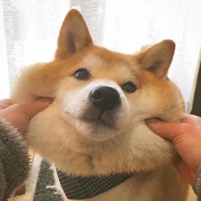 CC玩娱