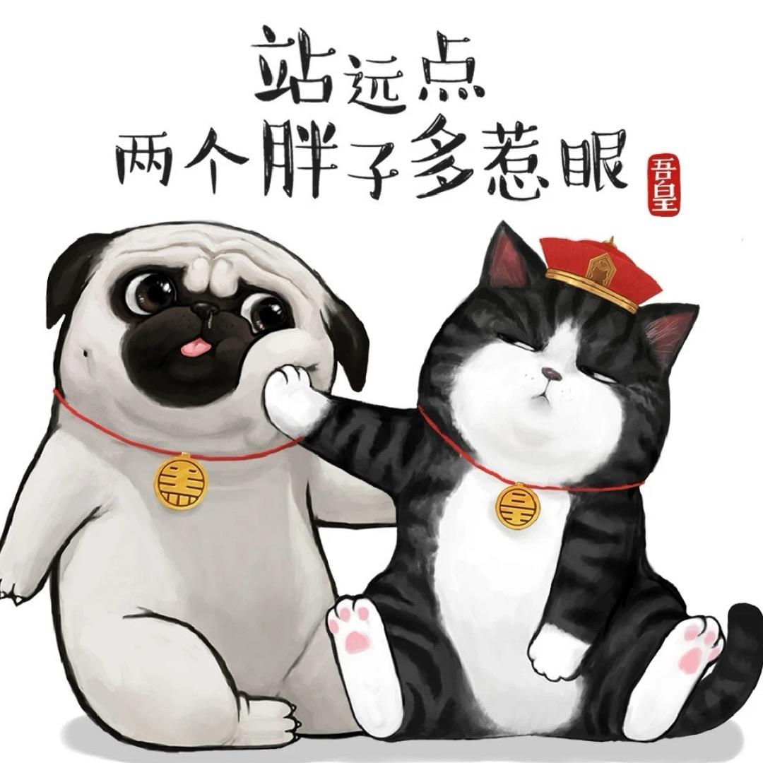 幽默的橘黄海葵