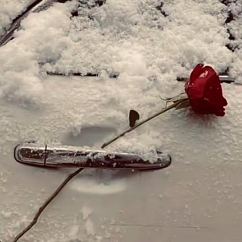 🎶多❄️杰 ☘️