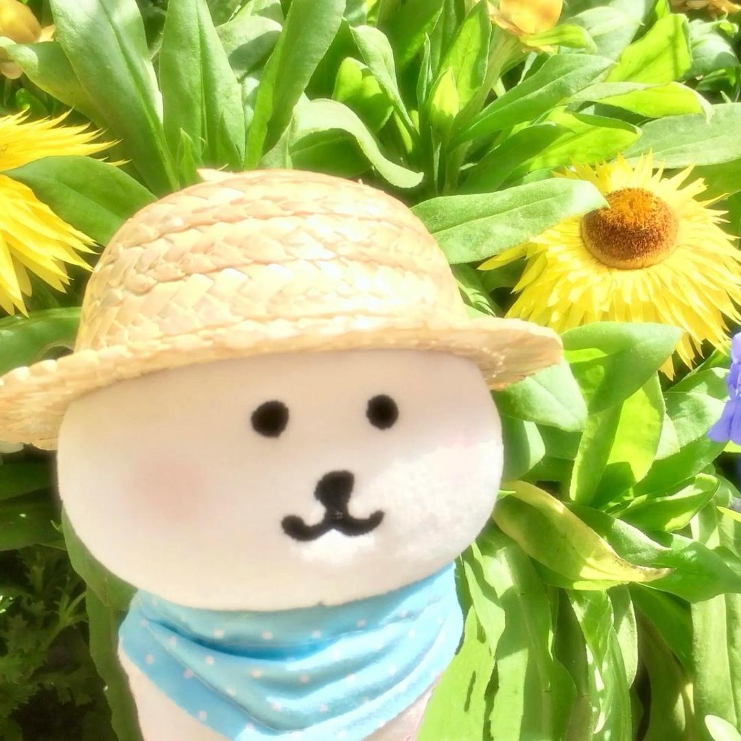 超级小笛