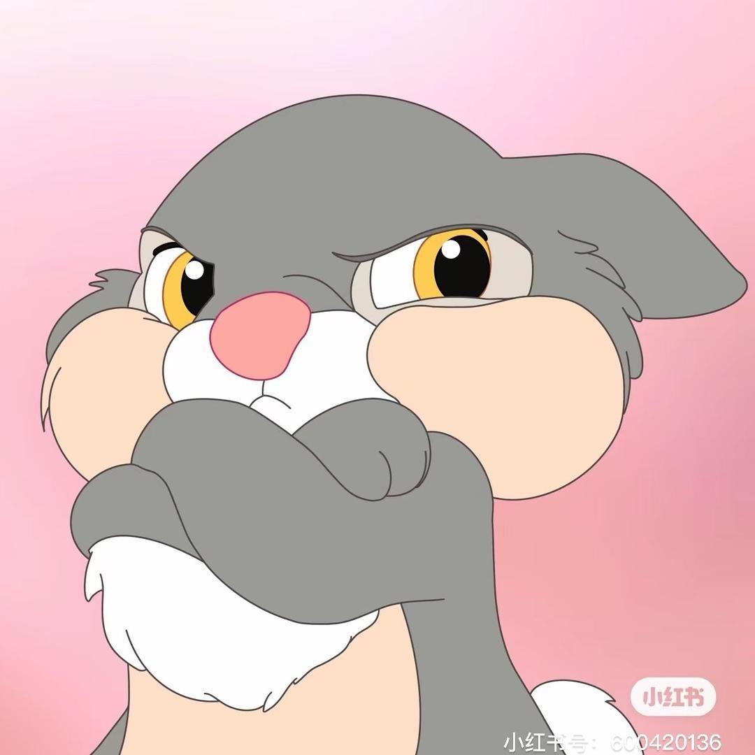 猪蹄儿
