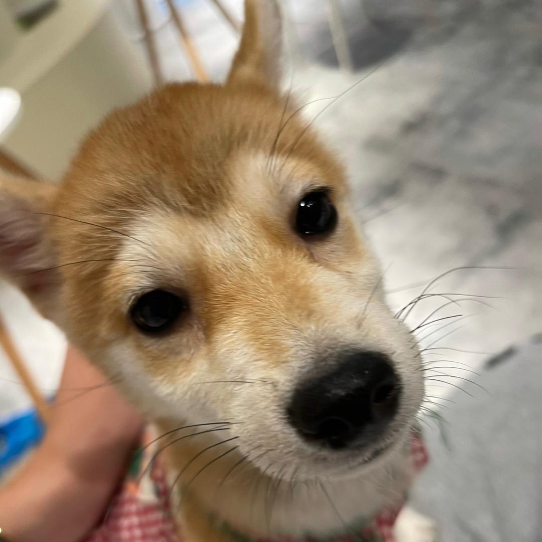 吴德发