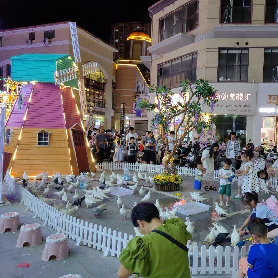 爱养殖小羊鸽