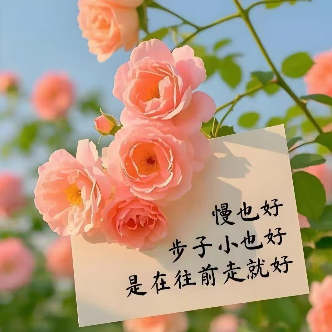 汐宝