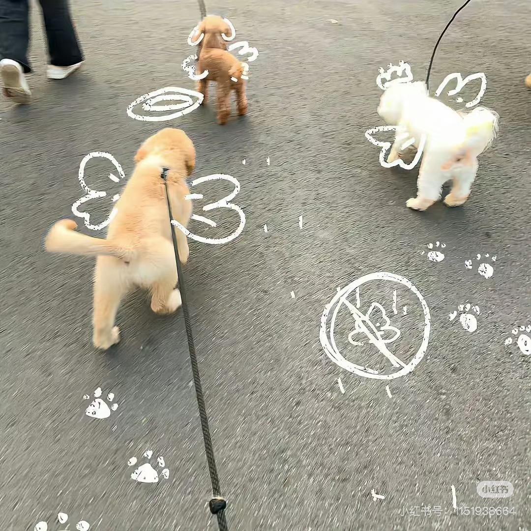 喝碗糊涂