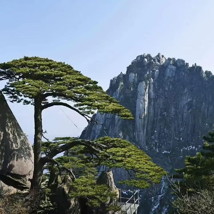 发哥说交易
