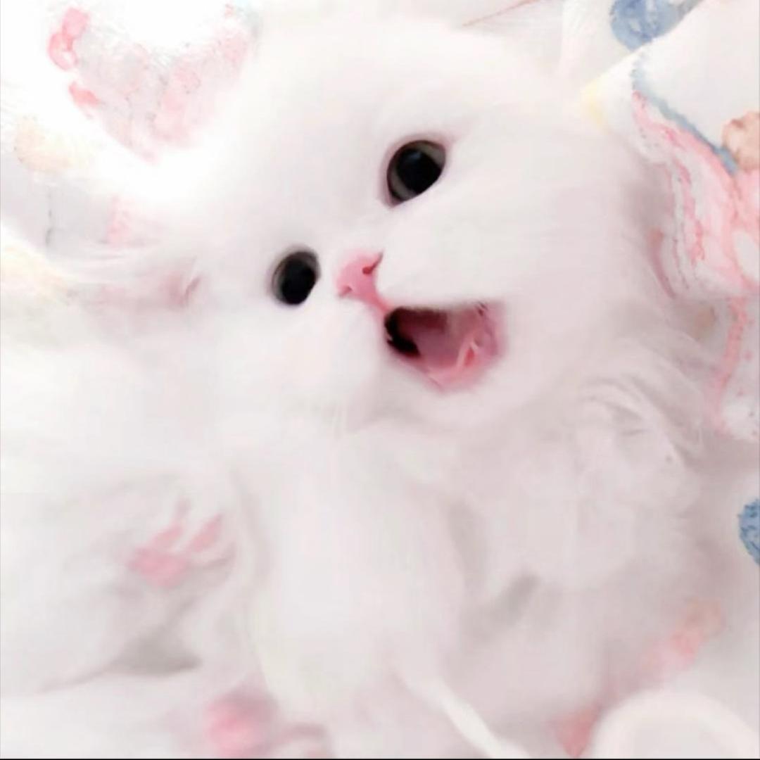 睡个好觉