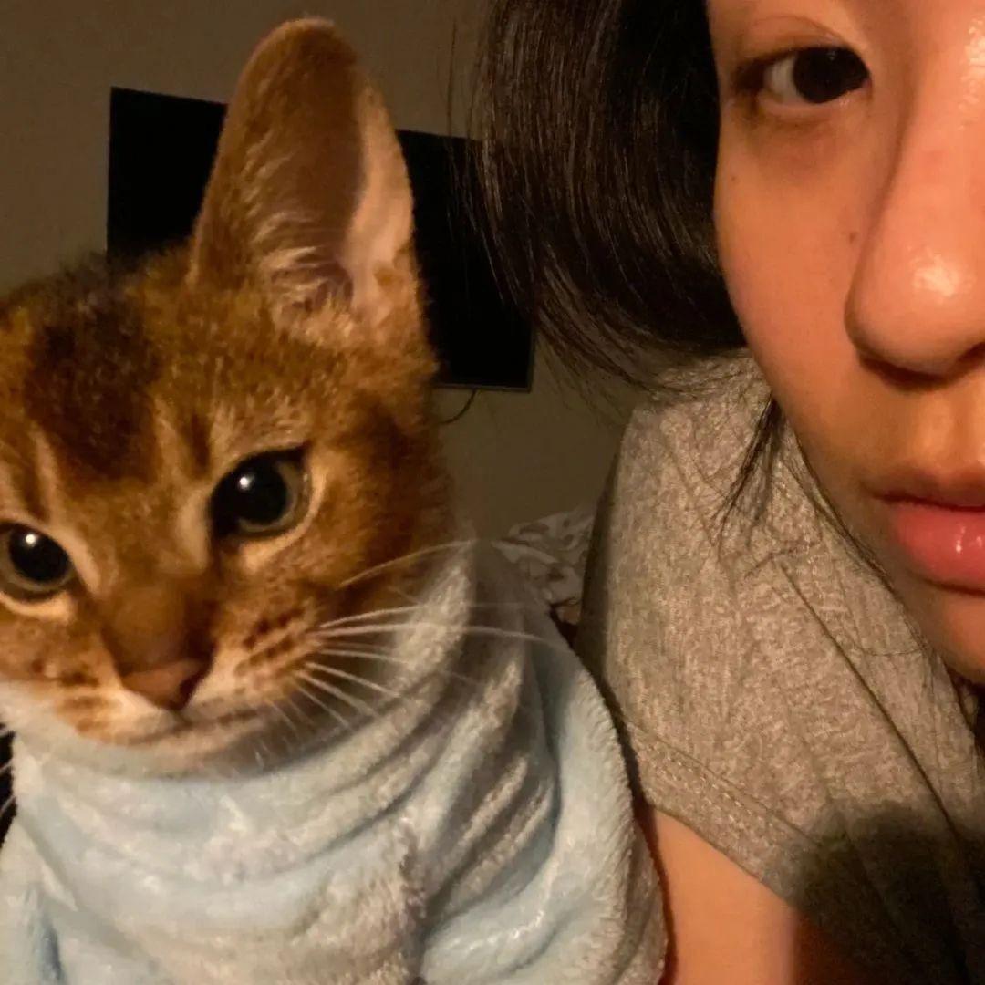 贝才