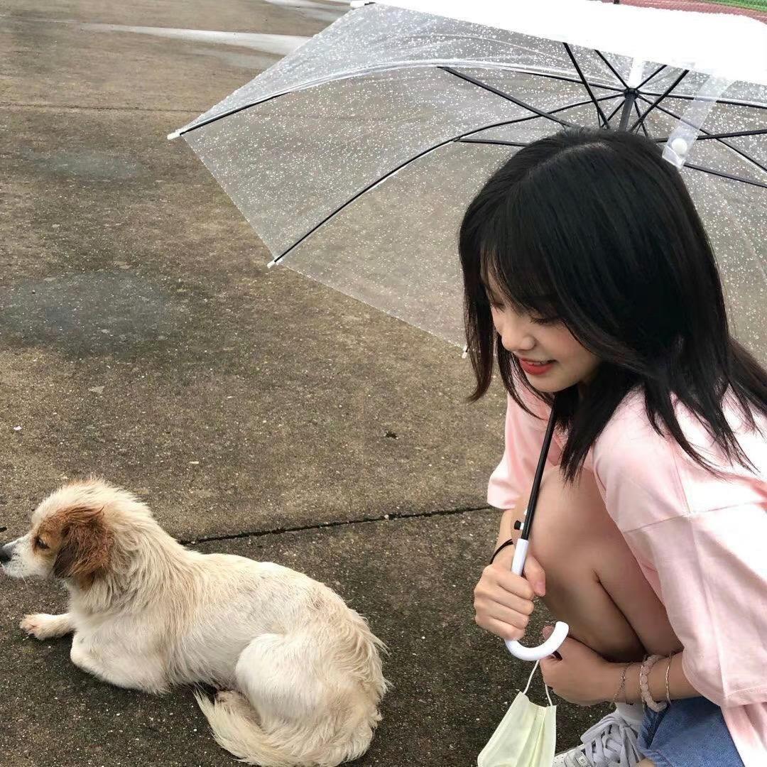不见花海sea