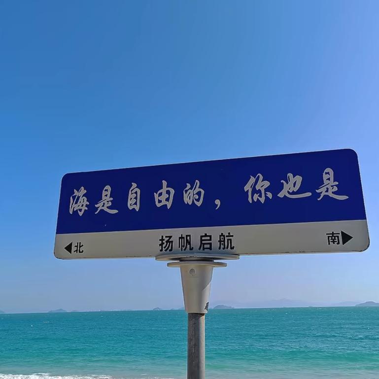 菲菲 239