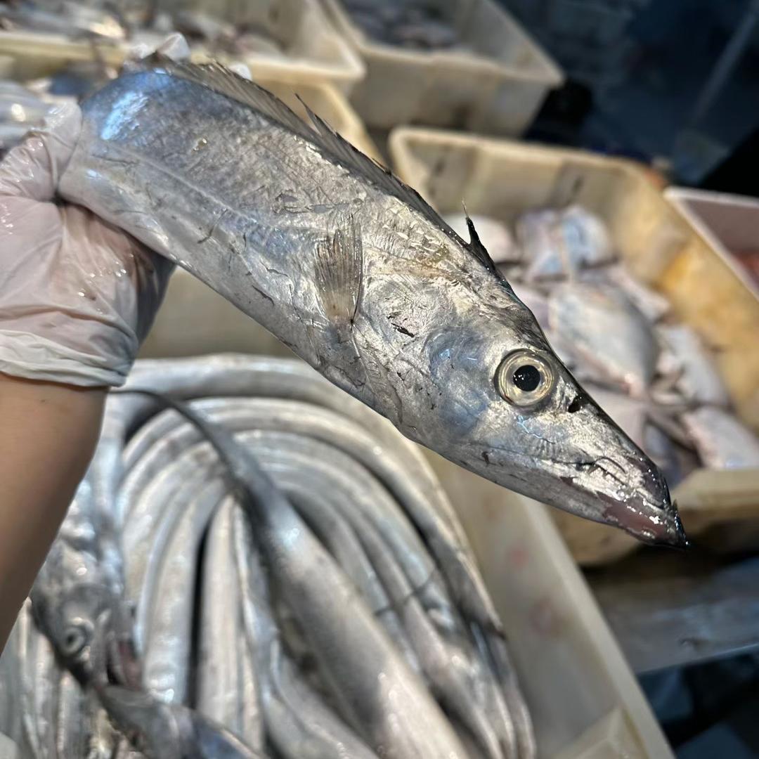 舟山铭泰海鲜源头工厂