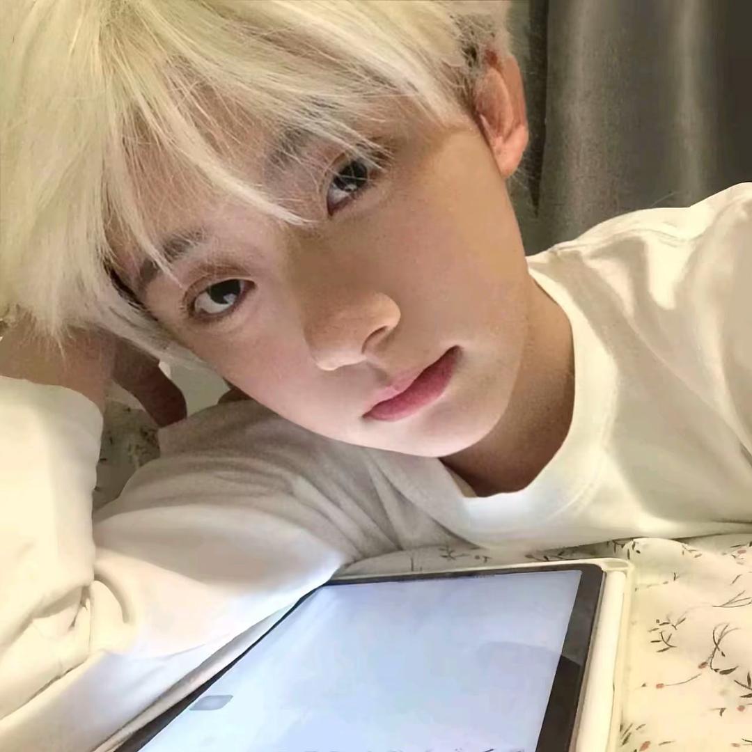 汤姆（专抓杰瑞）