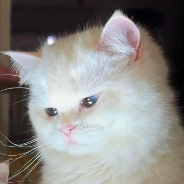 阿尹～