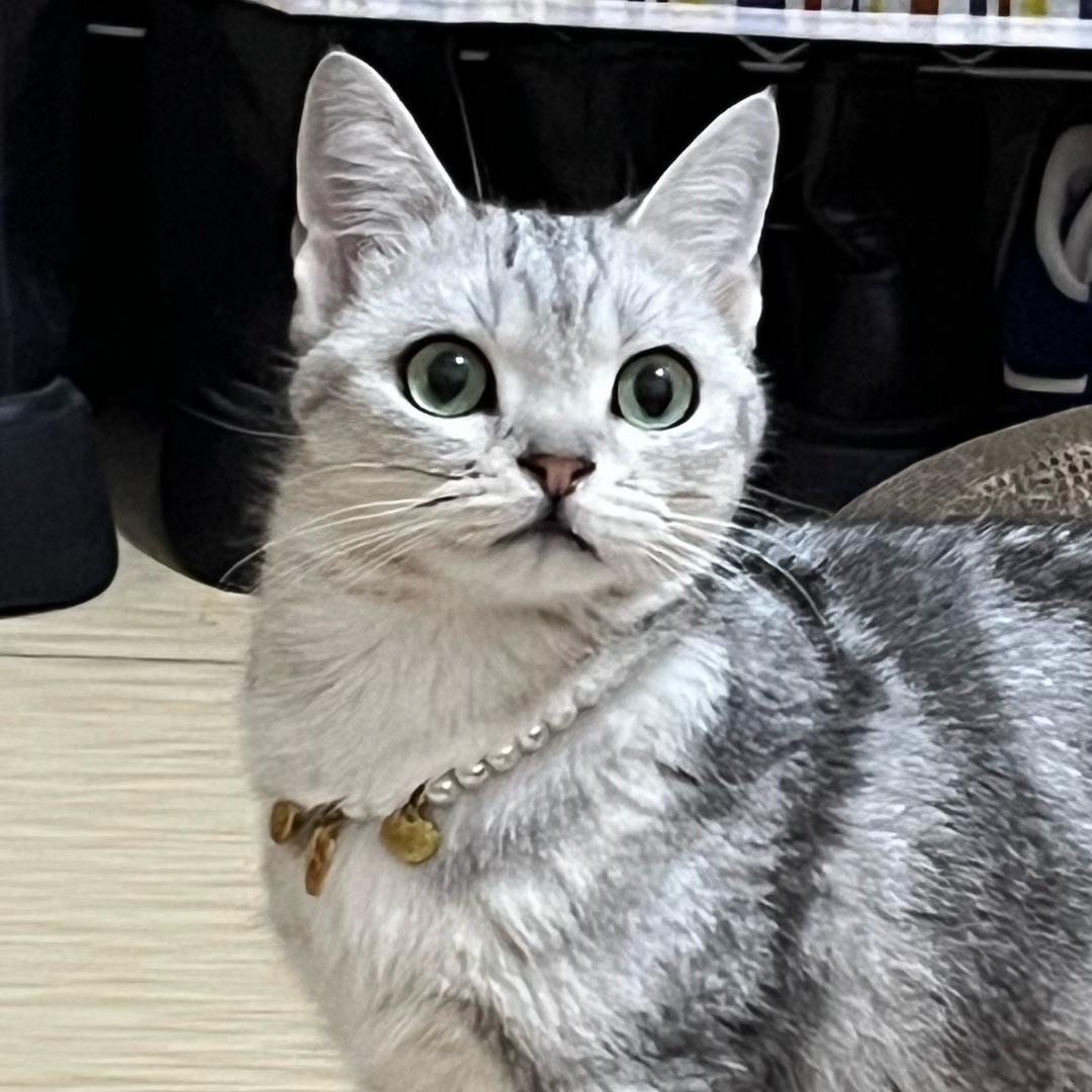 泽泽🐰
