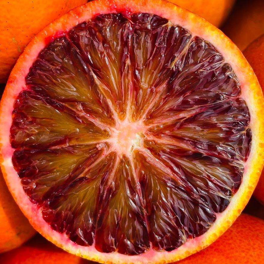 长寿湖瓜果山生态农场