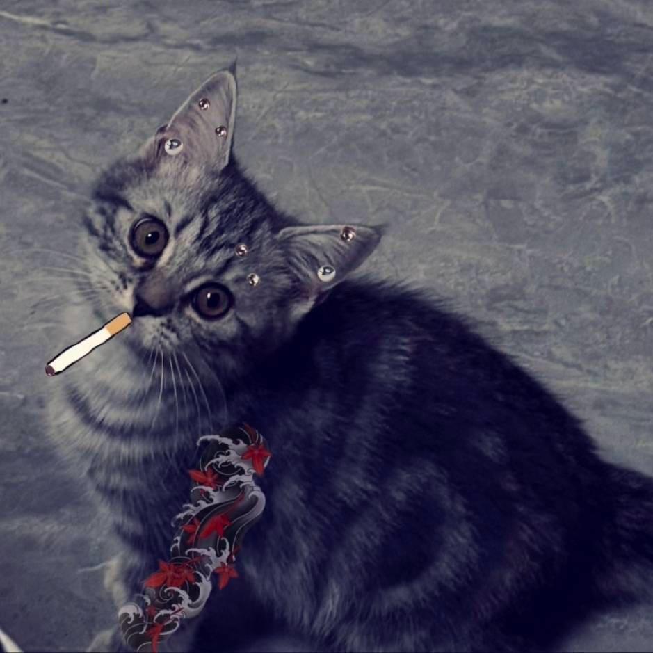 芝芝是个大魔丸