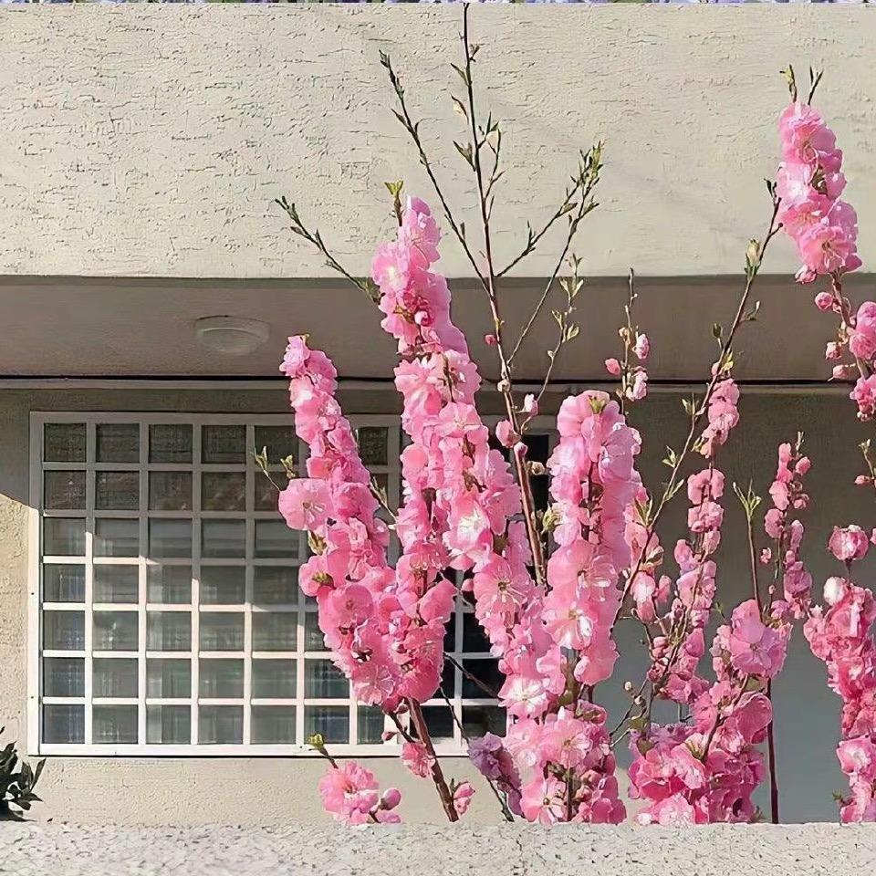 手机用户73117178695