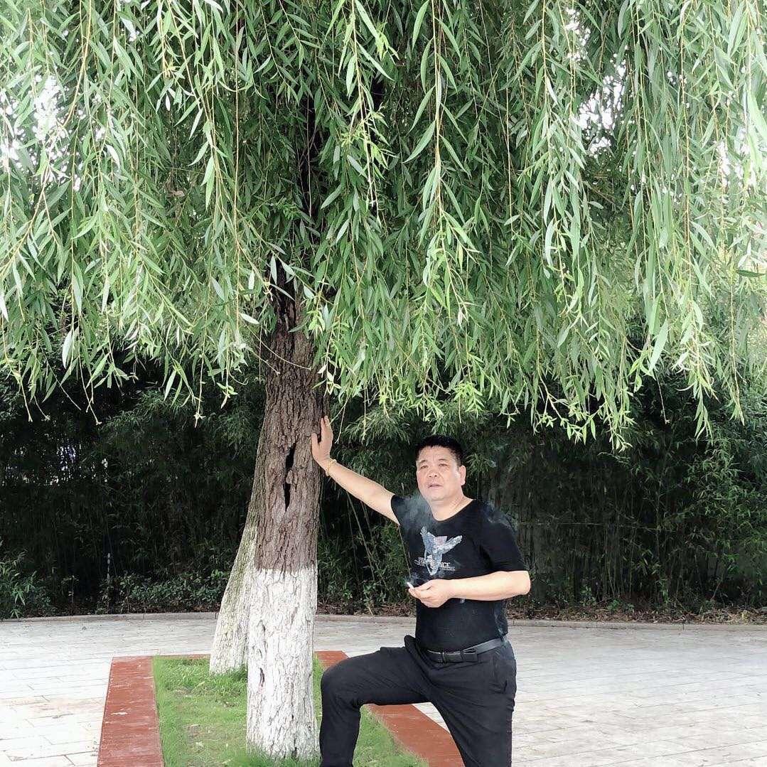 乘  风  破  浪（拿哥）