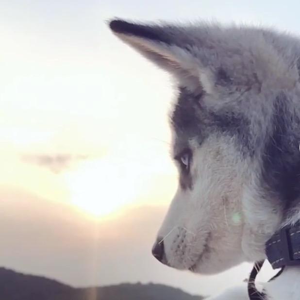 金足阁足道▪SPA