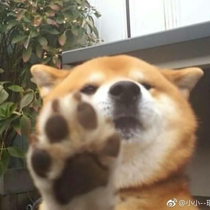 小远
