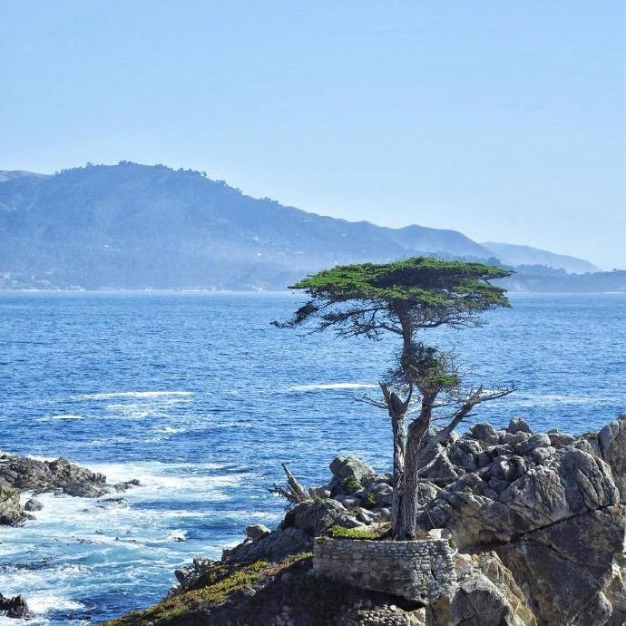 夏天
