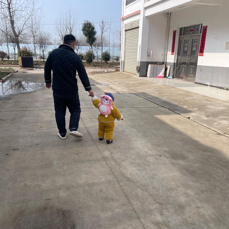 安徽 科伟（免费收学员）