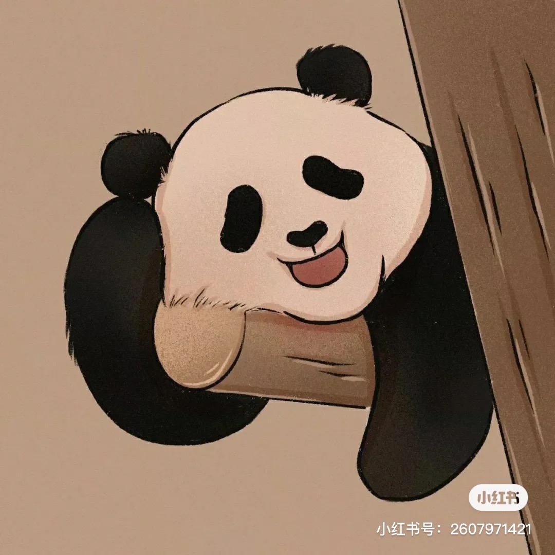 汇武功夫熊猫（吴教练）🐼