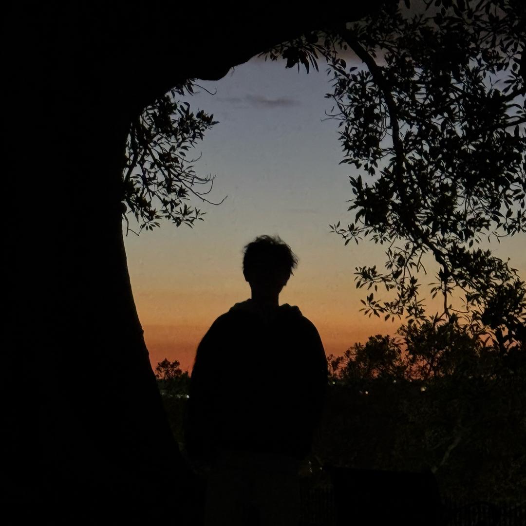 鼠条（因为薯条不让用）