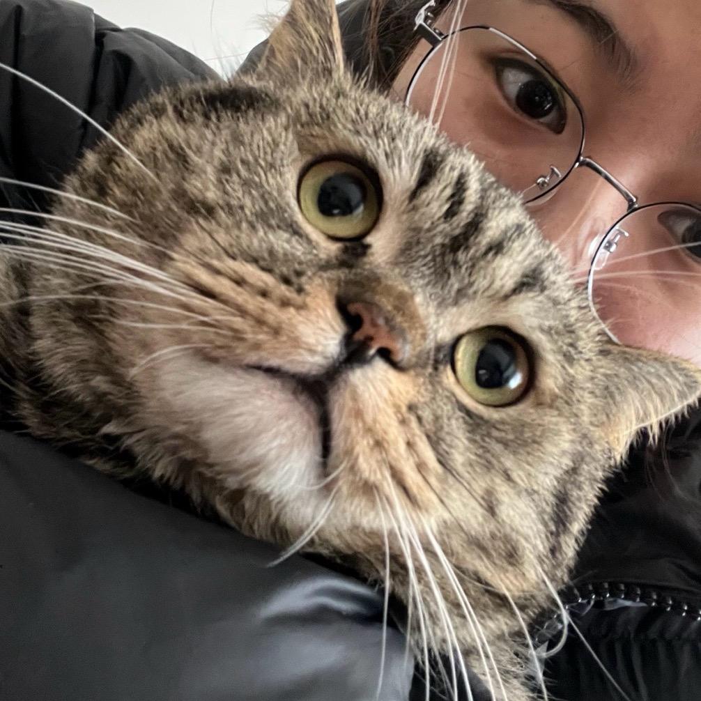 富强咪大王（求关注版）