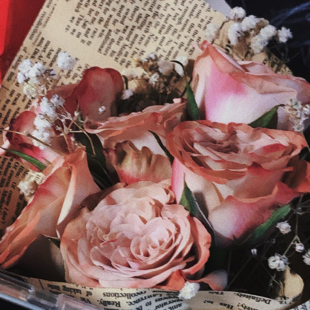 香菜种植基地bot