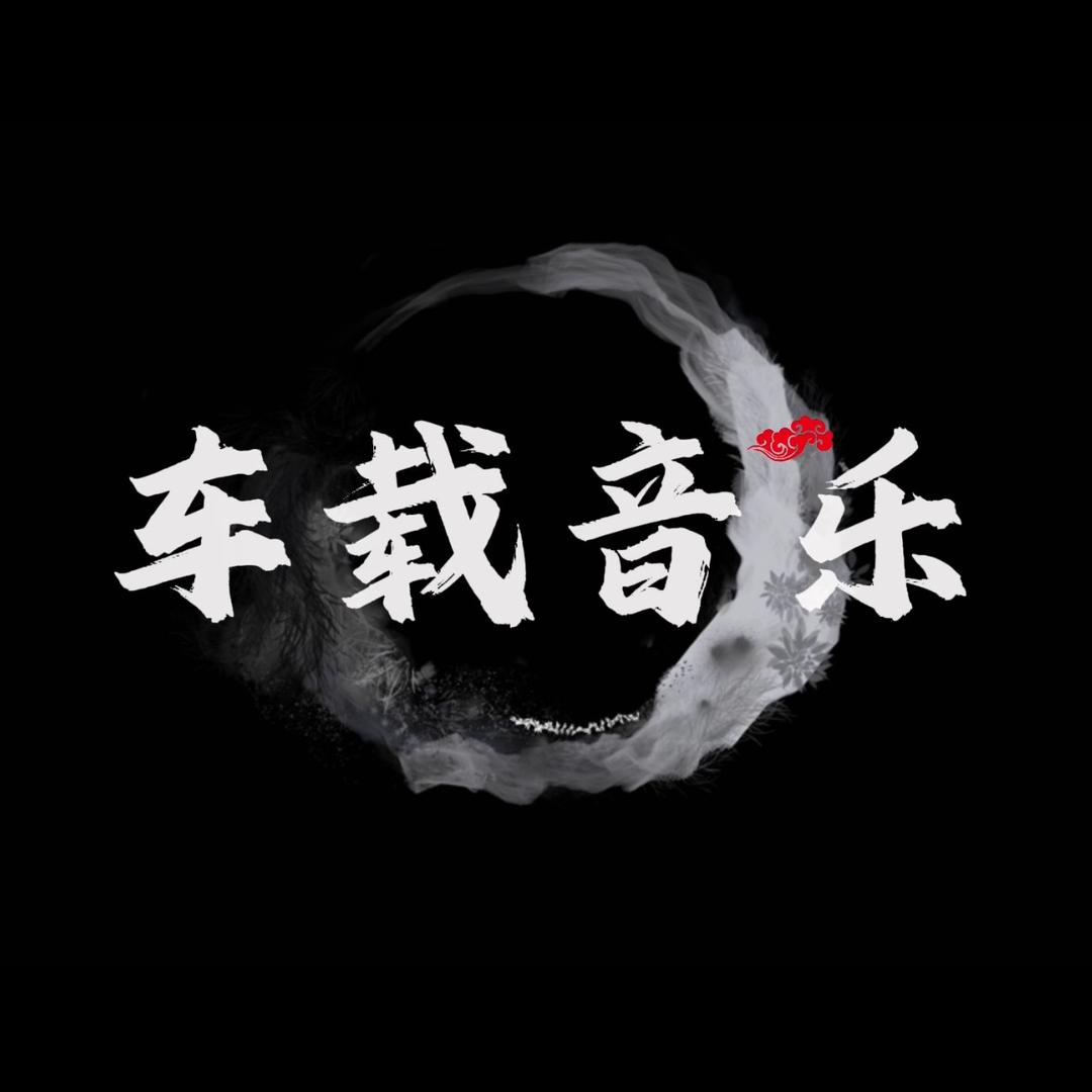 dj车载音乐汇（可购u盘）