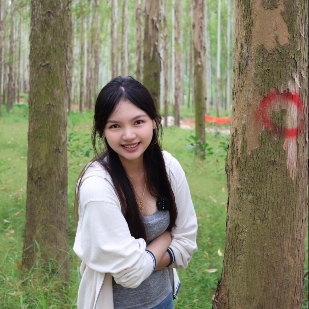 桉树表妹