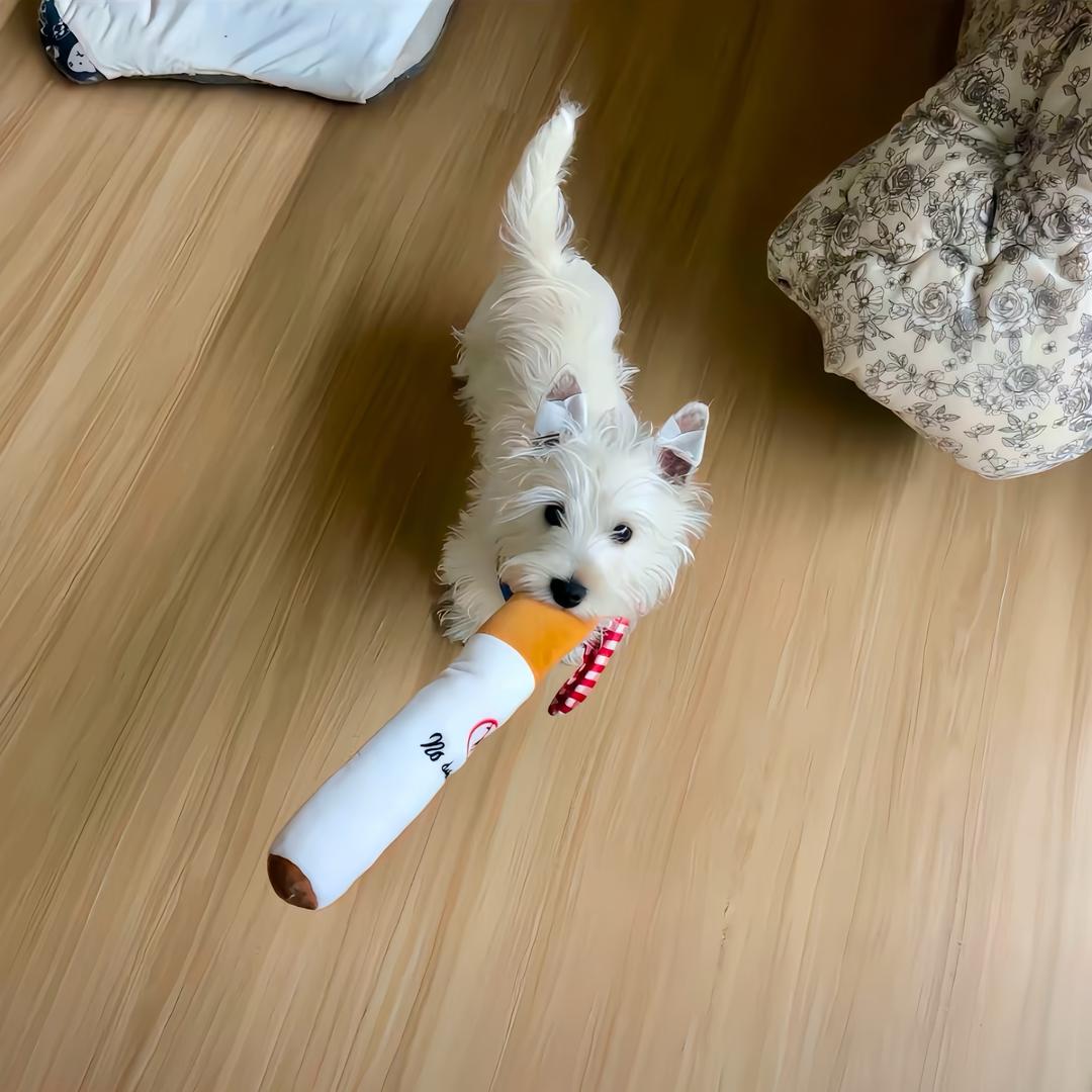 晚安然子.
