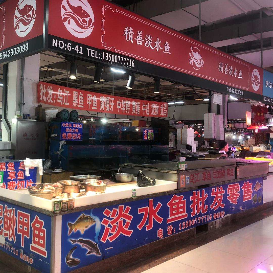 大连金三角积善淡水鱼（首播）