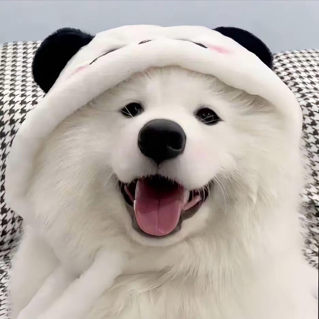 幸运💫啵啵呆ʕ̯•͡˔•̯᷅ʔ