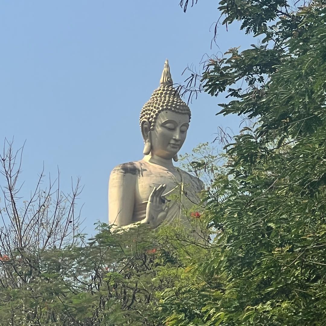 一真