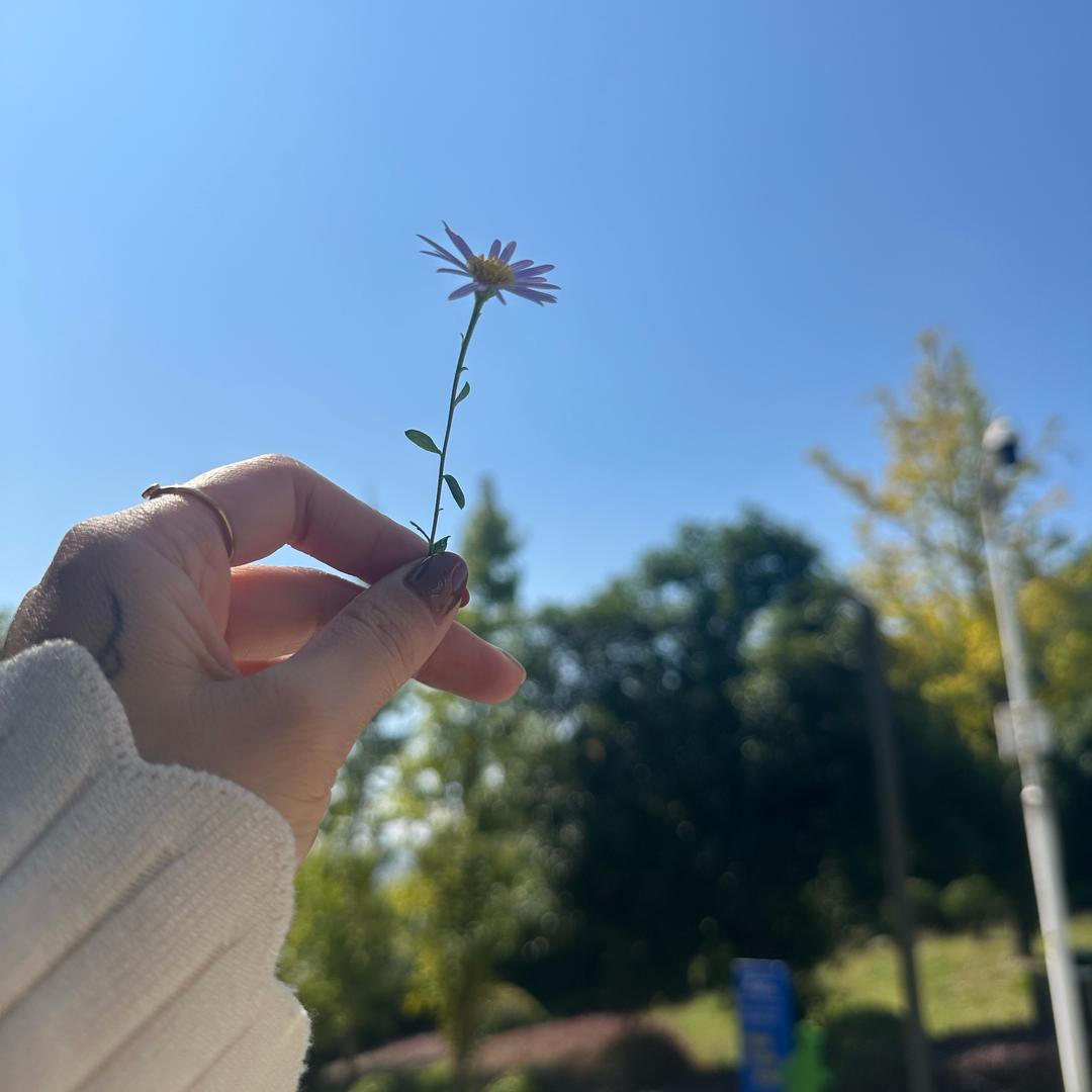 时光与她