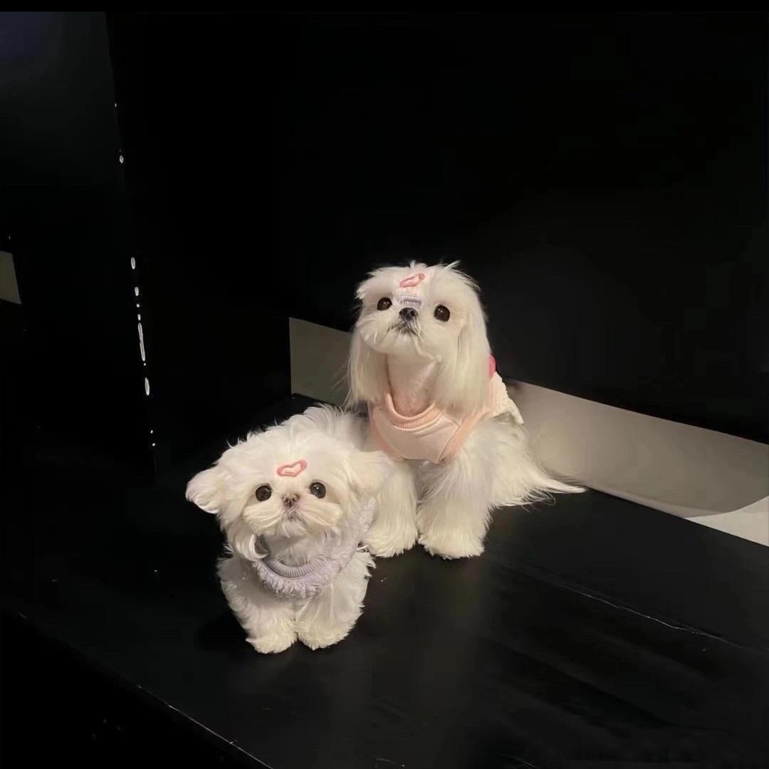 幸运欣