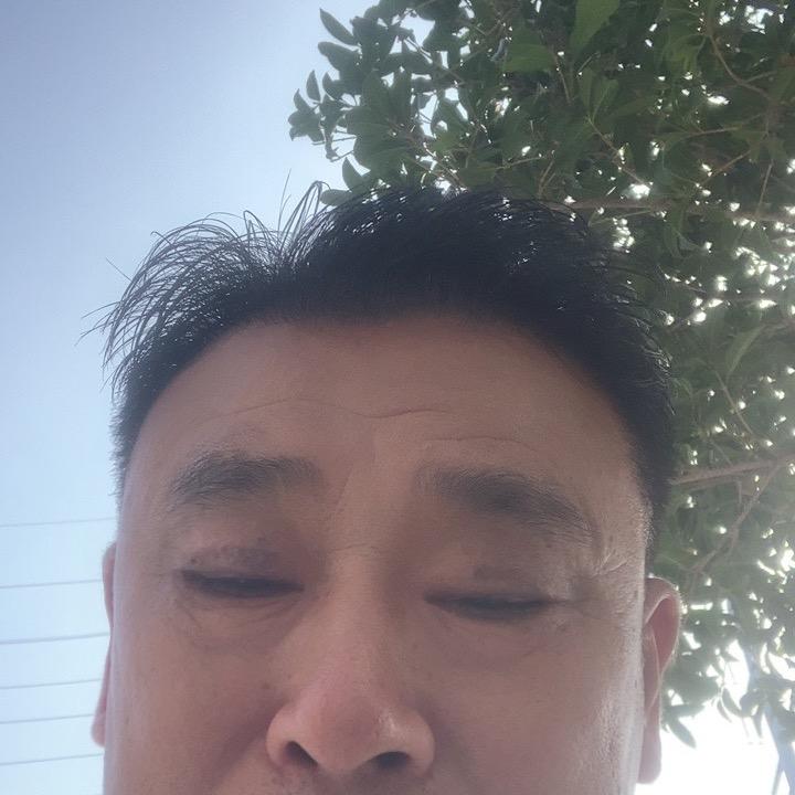 陈歌