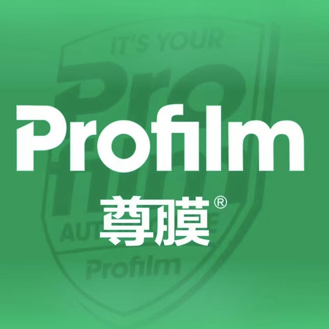 池州悦电汽车贴膜尊选店