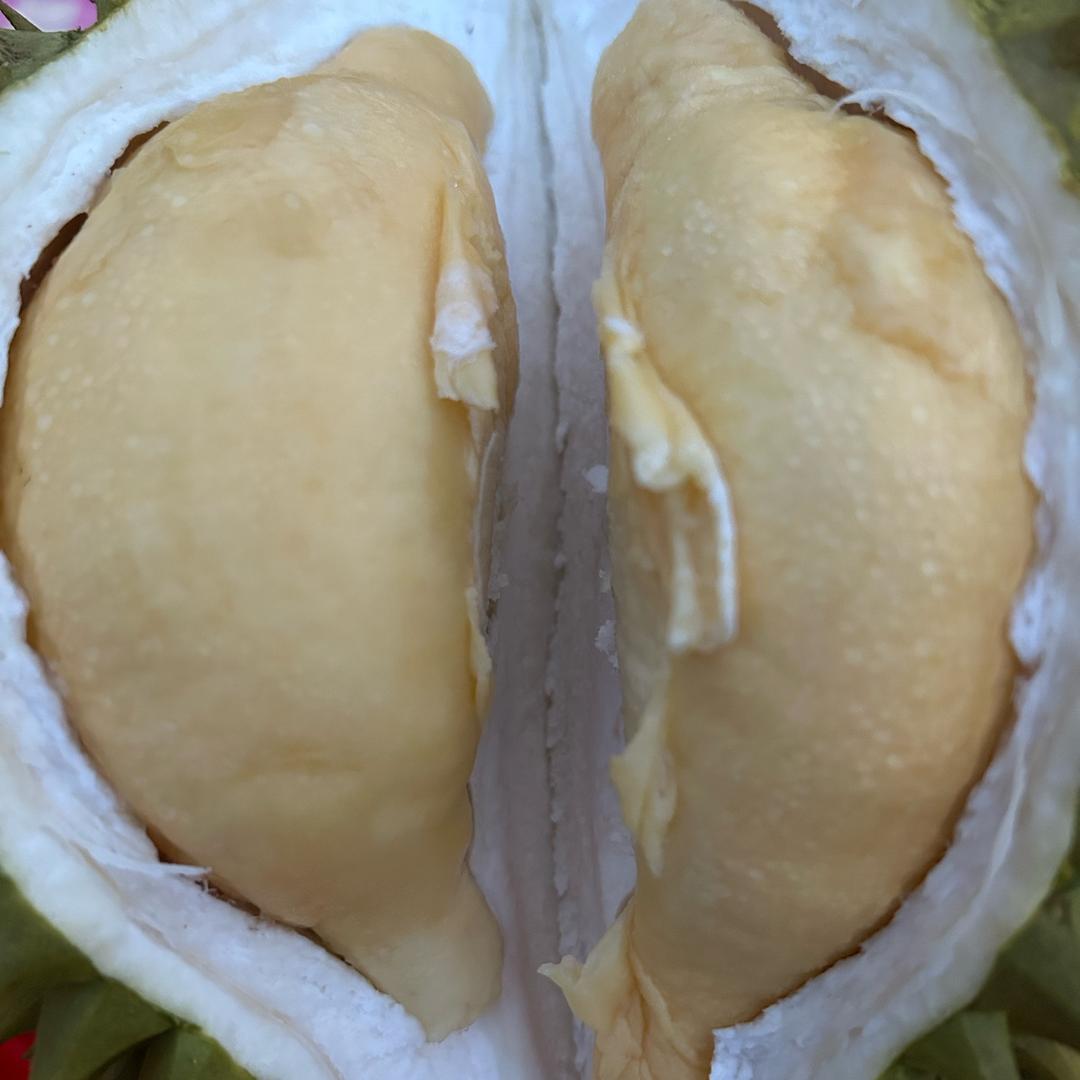 没活硬整~
