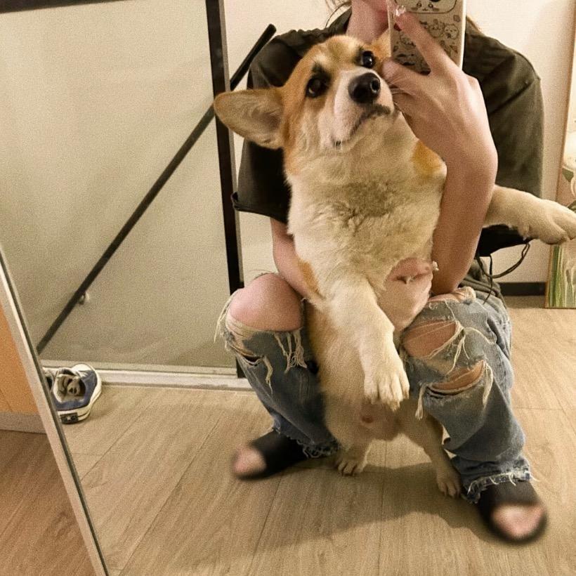 冰冷的心ㅤㅤㅤ